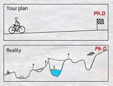 phd plan